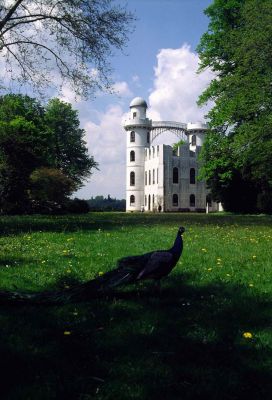 Замок-руина в королевской резиденции Павлиний остров. Германия, Пруссия. 1997