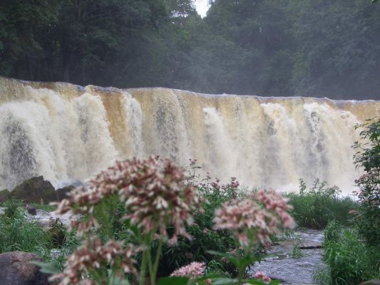 Фалль. Водопад в парке. Фото М. Сидоровой. 2005