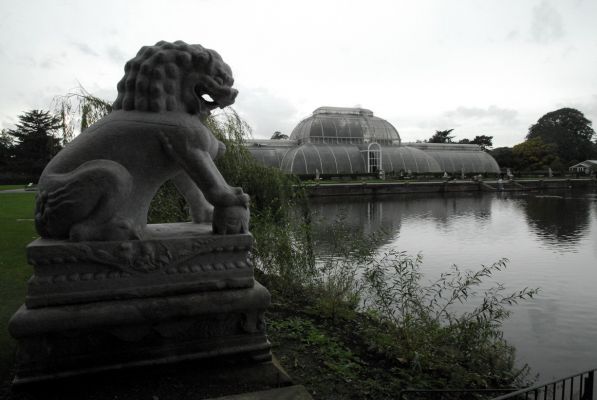 Кью. Пальмовый дом и китайский лев у пруда