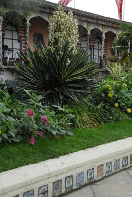 Лондон. Кенсингтонские висячие сады. Испанский сад. Буйная южная растительность